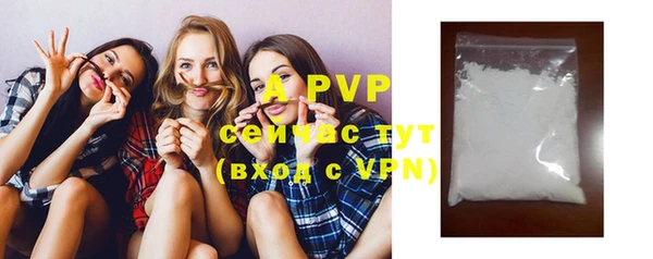 крисы Новозыбков