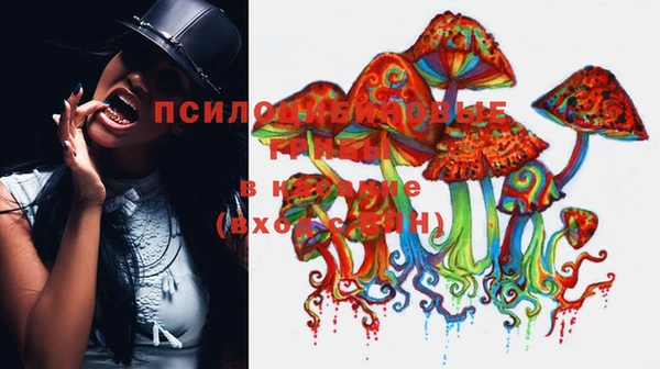 apvp Алексин