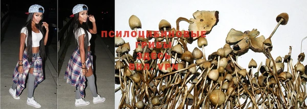 метадон Абинск