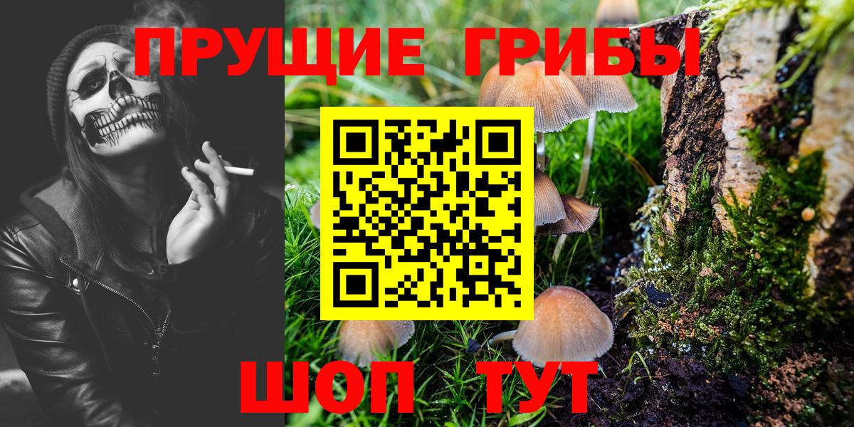 Псилоцибиновые грибы Psilocybine cubensis  Галлюциногенные грибы Cubensis  Вход с VPN  Ангарск 