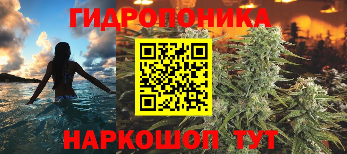 Бошки марихуана план  Бошки марихуана план  Ангарск  Каннабис OG Kush  Вход с VPN 